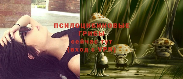 ешки Алексеевка