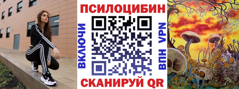 Псилоцибиновые грибы Cubensis  Себеж 